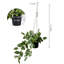 43.9cm Faux Plant