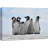 Animals " Little Penguins Giclee "-93629387-93629388
