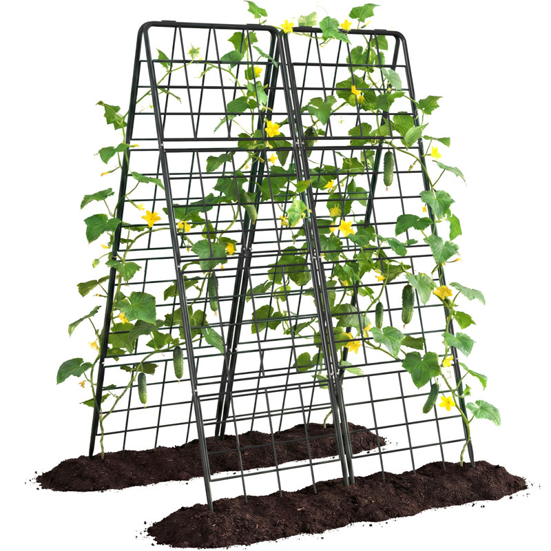 Ensemble de 2 treillis de concombre pliable à structure en A, support de plantes d'extérieur en acier enduit de PVC antirouille pour lits surélevés, haricots, tomates, plantes grimpantes
