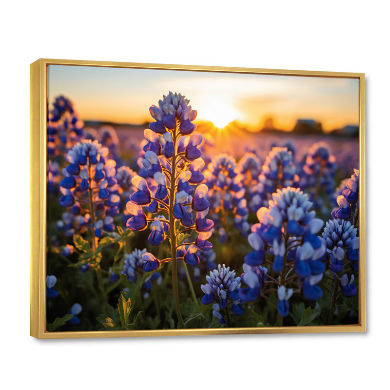 Blue Bonnets Field Photo V - impression, Cadre flottant doré, H 30 po x l 40 po x P 1,5 po