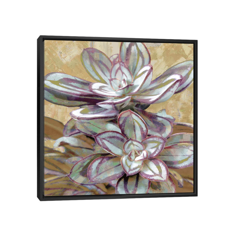 « succulent iv », impression sur toile, H 18 po x l 18 po x P 1,5 po, Toile avec cadre noir, Pas de tapis