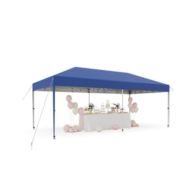 10 Ft. W x 20 Ft. D Metal Dome Canopy