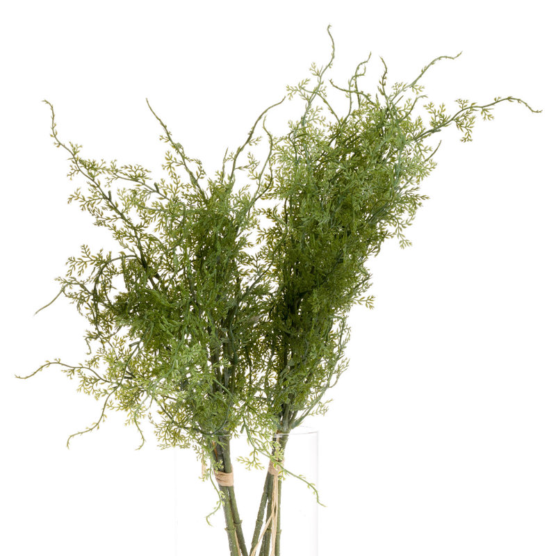 Anastasija Arrangement