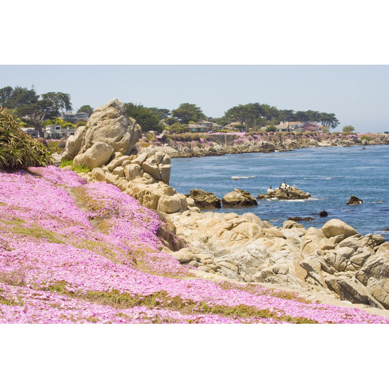 Monterey Bay by Alantobey - Wrapped Canvas Print, 20cm H x 30cm W x 3.8cm D