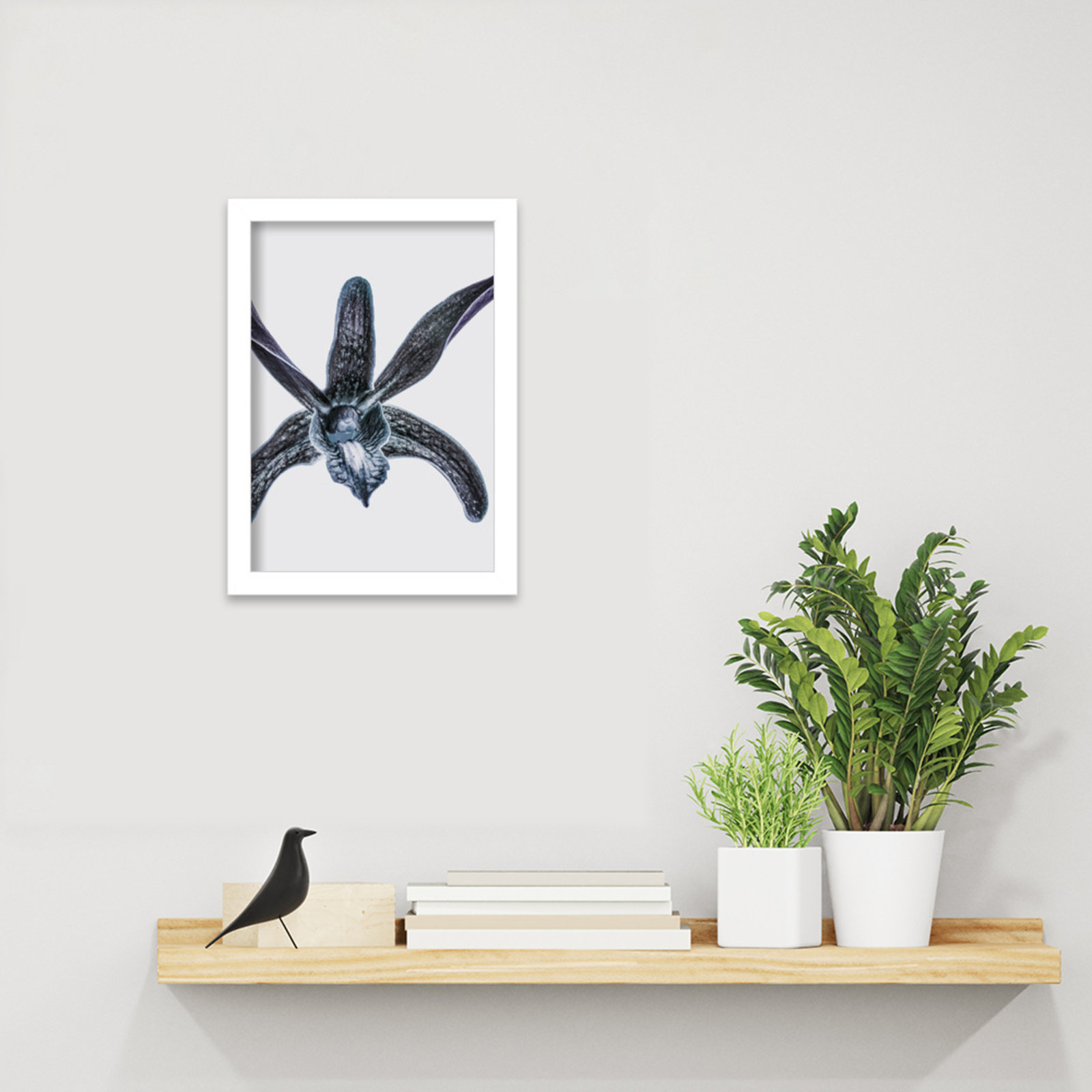 Orchid by Shot by Clint Wood Framed Wall Art Print, White, 13" H x 10" W