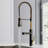 Fanwin Star Kitchen Faucet