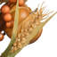 28" Autumn Pine Nut Spray