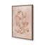 «Saltwater Shell Study I» par Grace Popp, reproduction d'art-1750765335-1750765337-1750765342