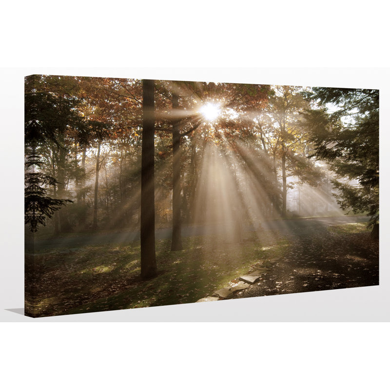 « a new day i », reproduction d’art sur toile tendue, H 18 po x l 30 po