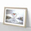Swans Forming a Love Heart in Abstract - Picture Frame Graphic Art Print-55728478-55728480