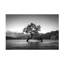 Œuvre sur toile, bol Christoph Schaarschmidt Wanaka-105649453