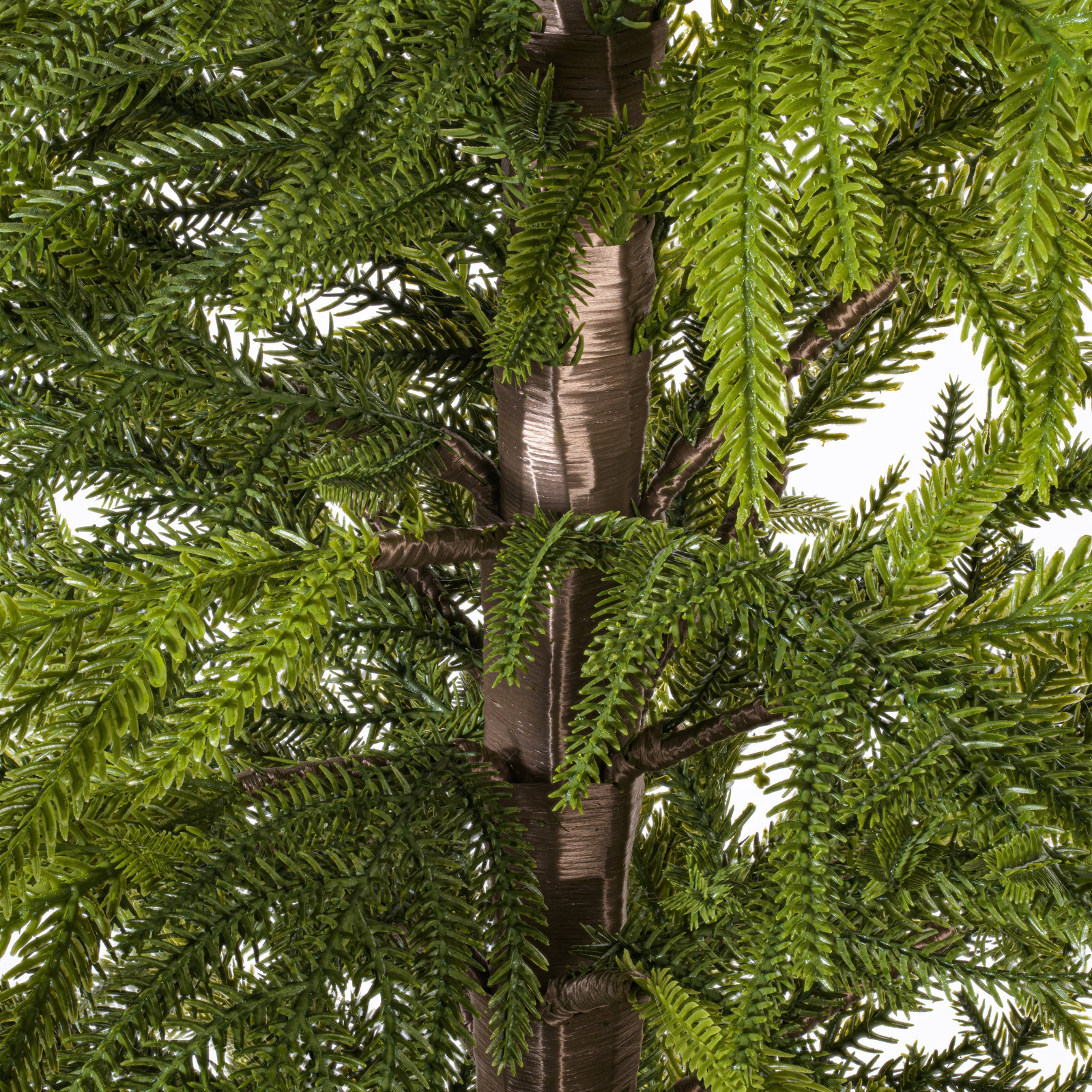 Pine Christmas Tree, 6