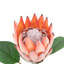 Faux Stem Tropical Arrangement 470mm (12pk)-1971626871