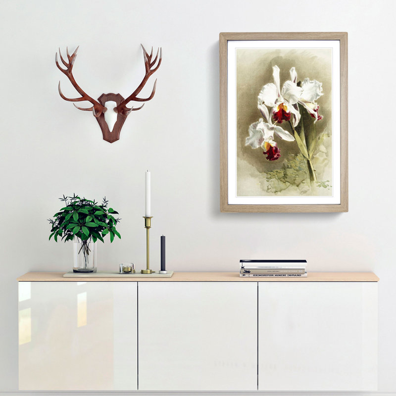 Magnolia Flowers Illustration Tab. 28 by Frederick Sander - Picture Frame Painting Print, 91cm H x 60cm W x 2cm D, Oak