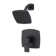 Deckard Dual Function Shower Faucet with Trim