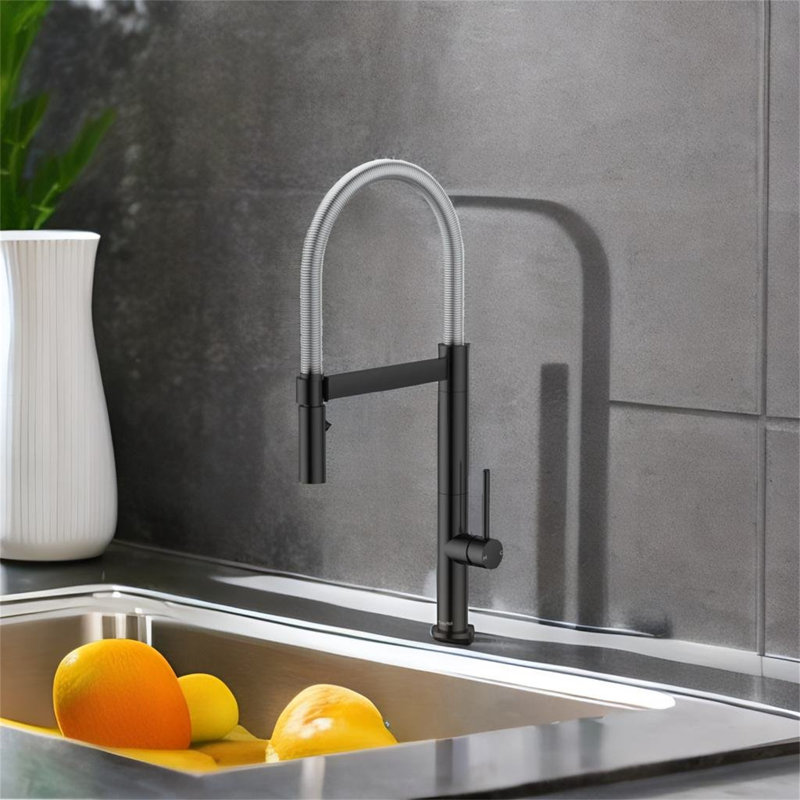 TONWIN Kitchen Faucet, Matte Black