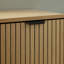 2 Door Shoe Storage Cabinet