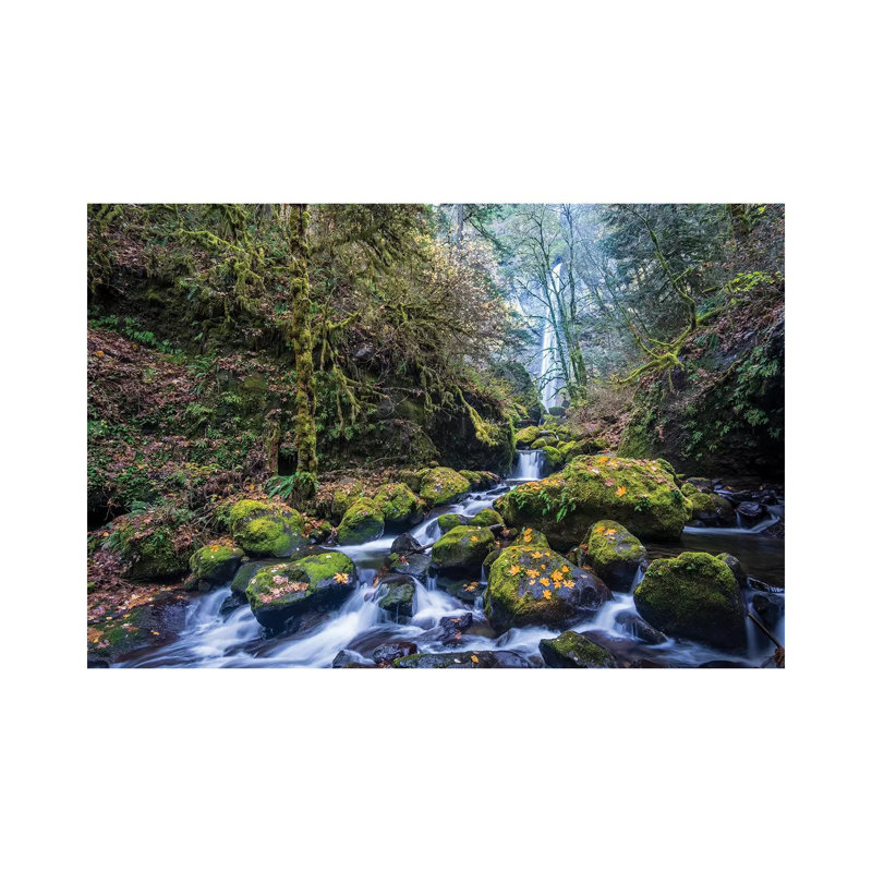 USA, Oregon. Autumn View Of Mccord Creek Flowing Below Elowah Falls In The Columbia River Gorge. by Gary Luhm - Wrapped Canvas Print