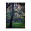 «Forsyth Pk, Savannah» par Garv, reproduction de photo sur toile tendue-30356287