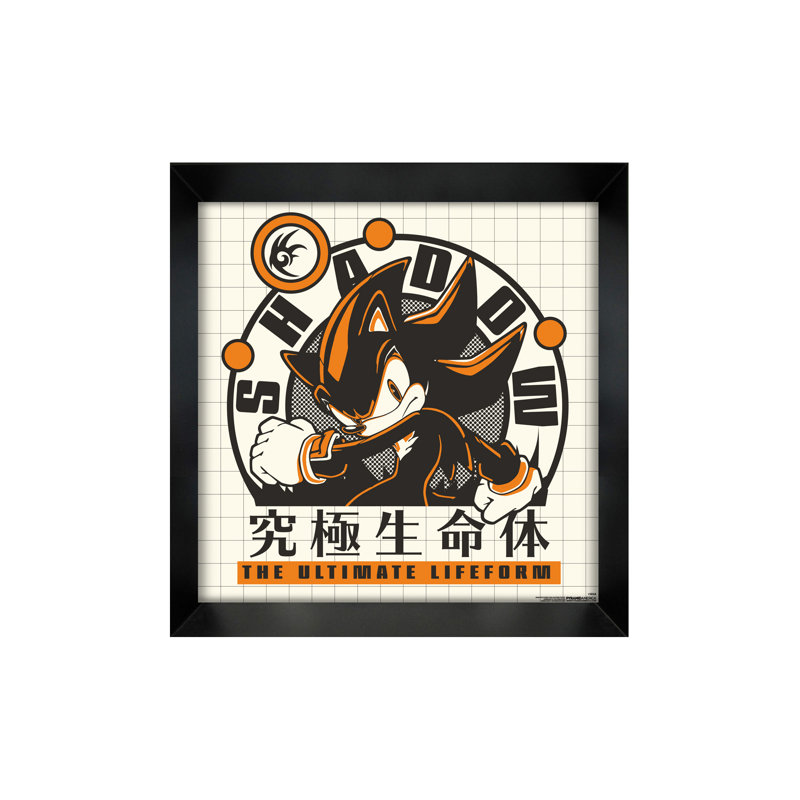 Sonic - Ultimate Lifeform 12 x 12, affiche gélifiée encadrée