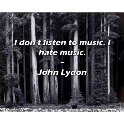 Citation artistique «Je n'écoute pas de musique. Je déteste la musique». Toile tendue par John Lydon