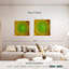 Disque Harnek-109393381