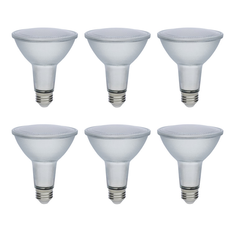 12 Watt Econo LED PAR30LN Bulb Medium Base; 120-277 Volt Silver Finish