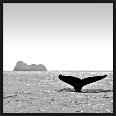«Majestic Orca», reproduction de photo encadrée