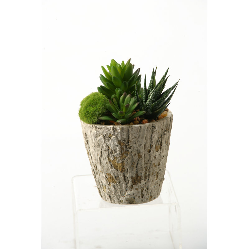 Faux Plant in Cement Planter