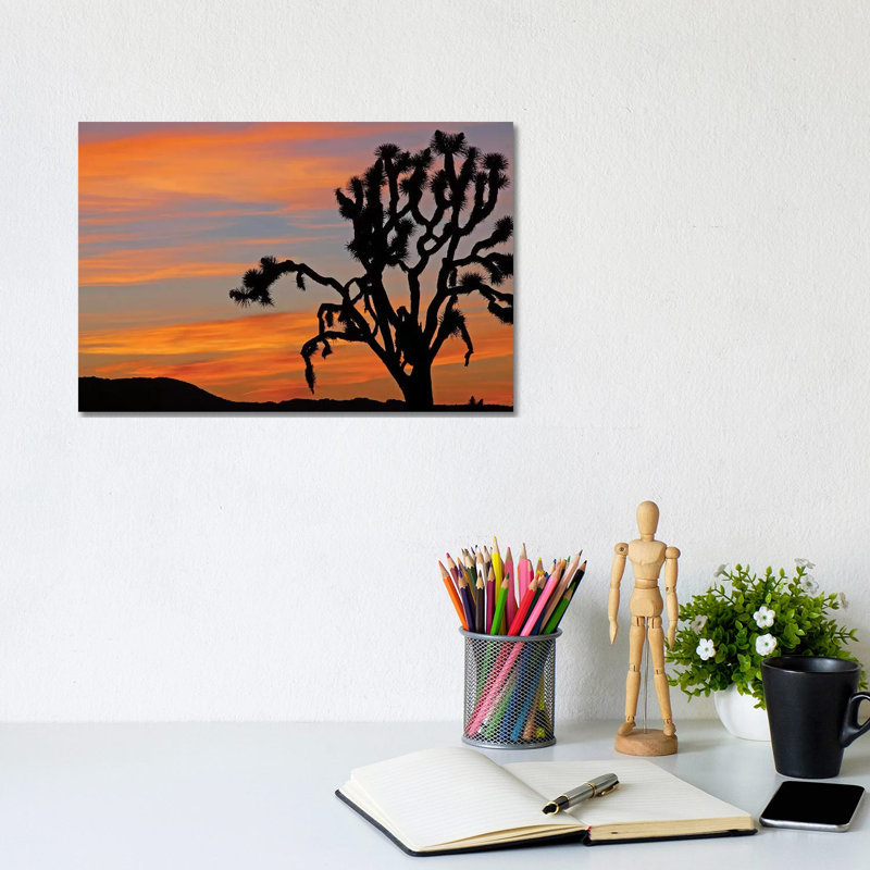 «Joshua Tree Sunrise» par Brian Wolf - impression sur toile tendue, H 12 po x l 18 po x 1,5 po