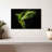 Brampt Alexandrine Parakeet-107833817