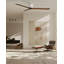 Irene Ceiling Fan-435741716-435629840-489064218