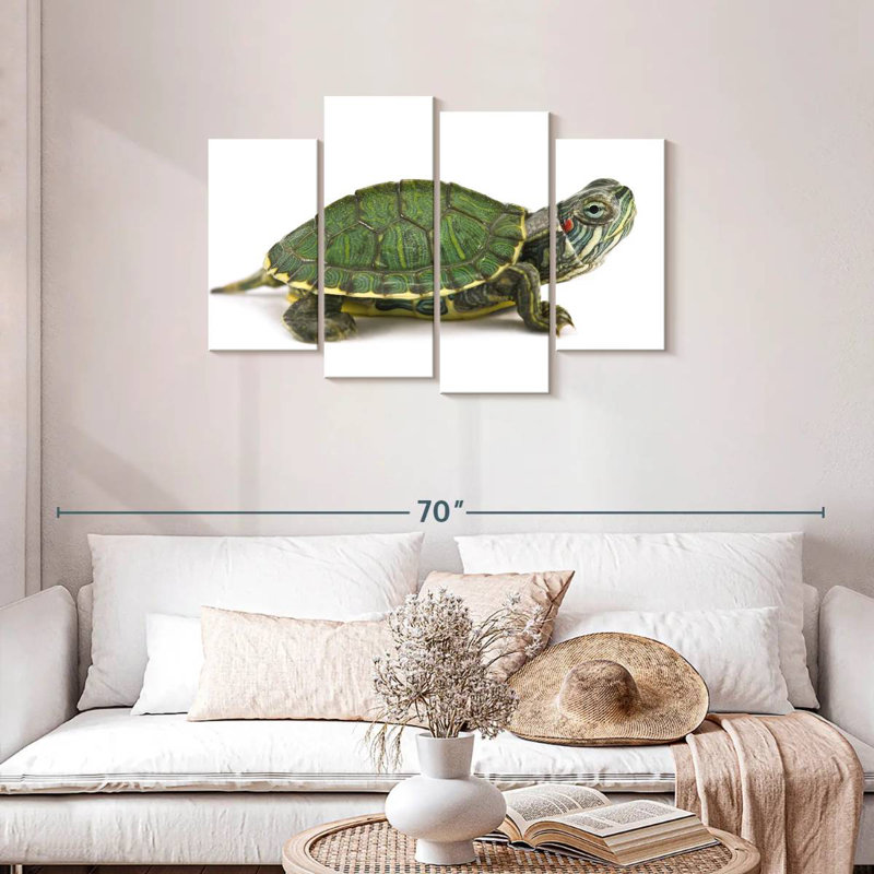 Brampt Red Eared Turtle