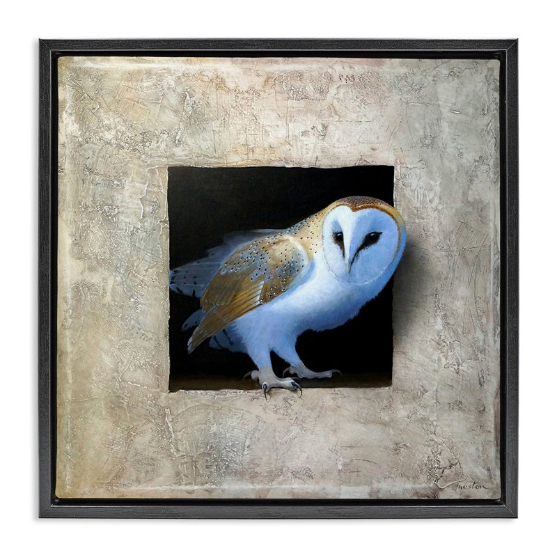 Hibou mystérieux peering, Cadre flottant noir de jais, H 18 po x l 18 po