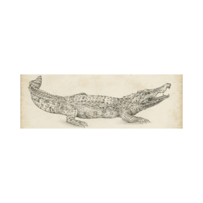 Crocodile Sketch 1 Piece Wrapped Canvas Panoramic Wall Art
