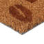 Angeleigh Non-Slip Indoor / Outdoor Doormat-197399197