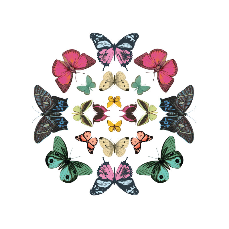 Butterfly Circle - Wrapped Canvas Print, 30cm H x 30cm W x 3.8cm D