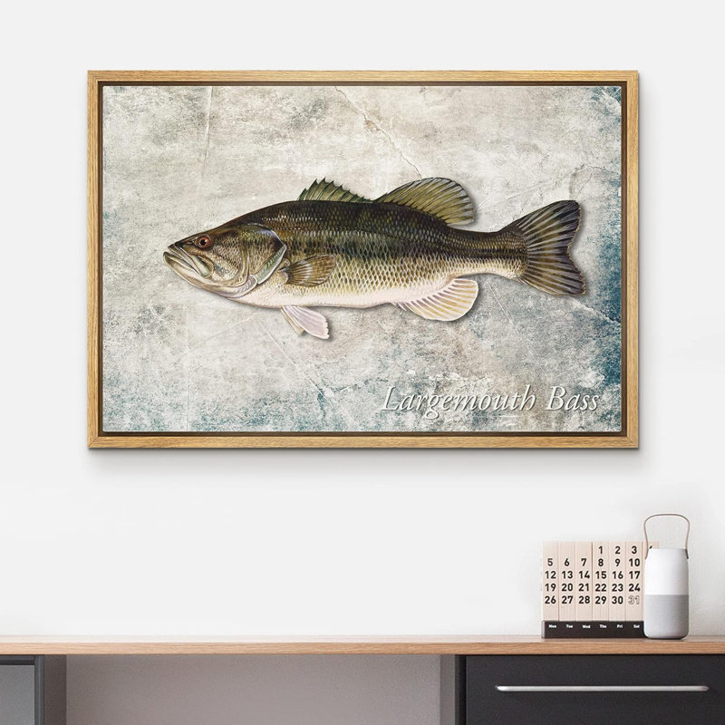 Fish " Largemouth Bass Fish On Granite Background Marine Life ", 16'' H x 24'' W, Natural Framed