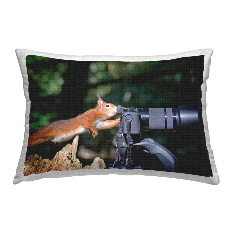 Polyester Lumbar Rectangular Indoor/Outdoor Pillow Cover & Insert