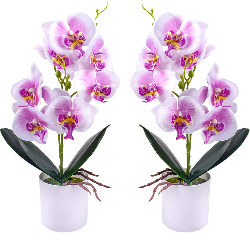 Arrangement in Vase