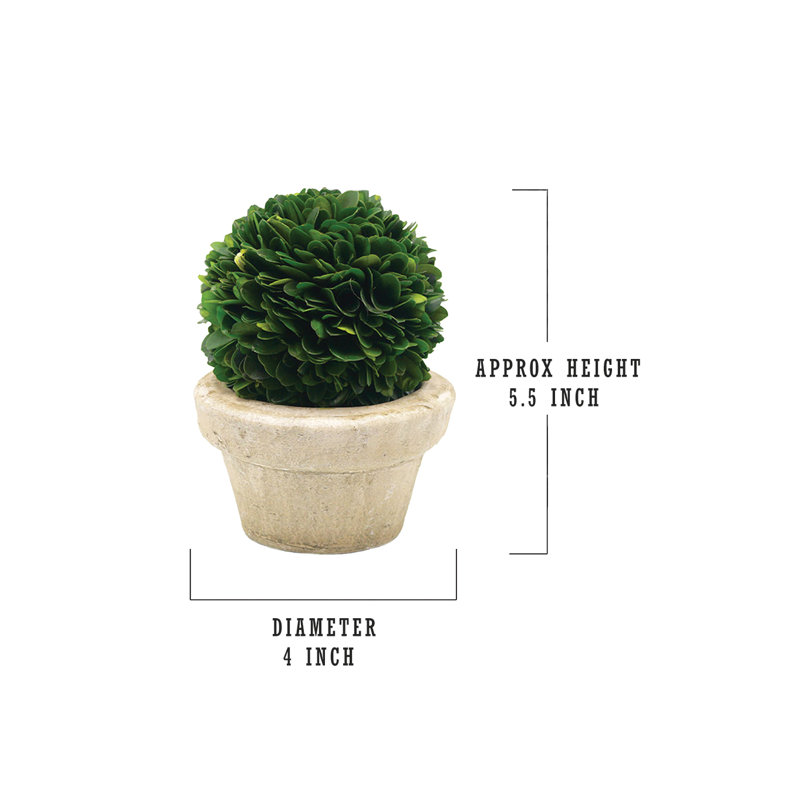 Faux Boxwood Topiary in Ceramic Pot, Small