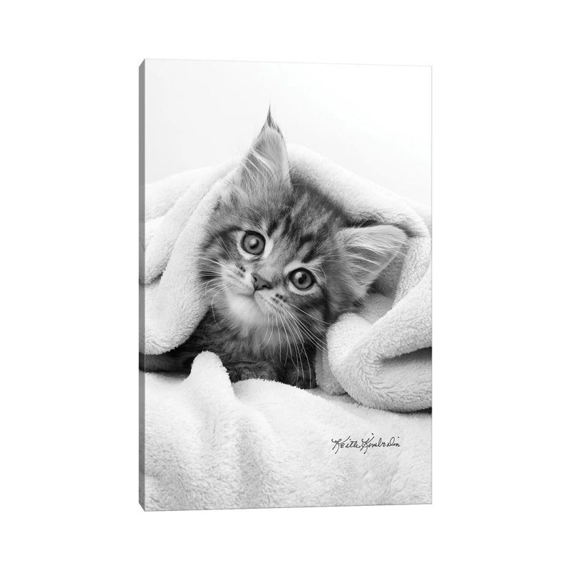 Bug In A Rug by Keith Kimberlin - Print on Canvas, 20.32 cm H x 30.48 cm W, Wrapped Canvas