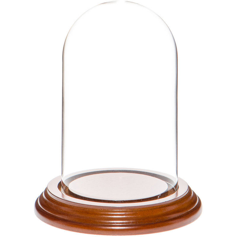 Cloche en verre 3 "x 5" Vucciria, Base en placage de noyer
