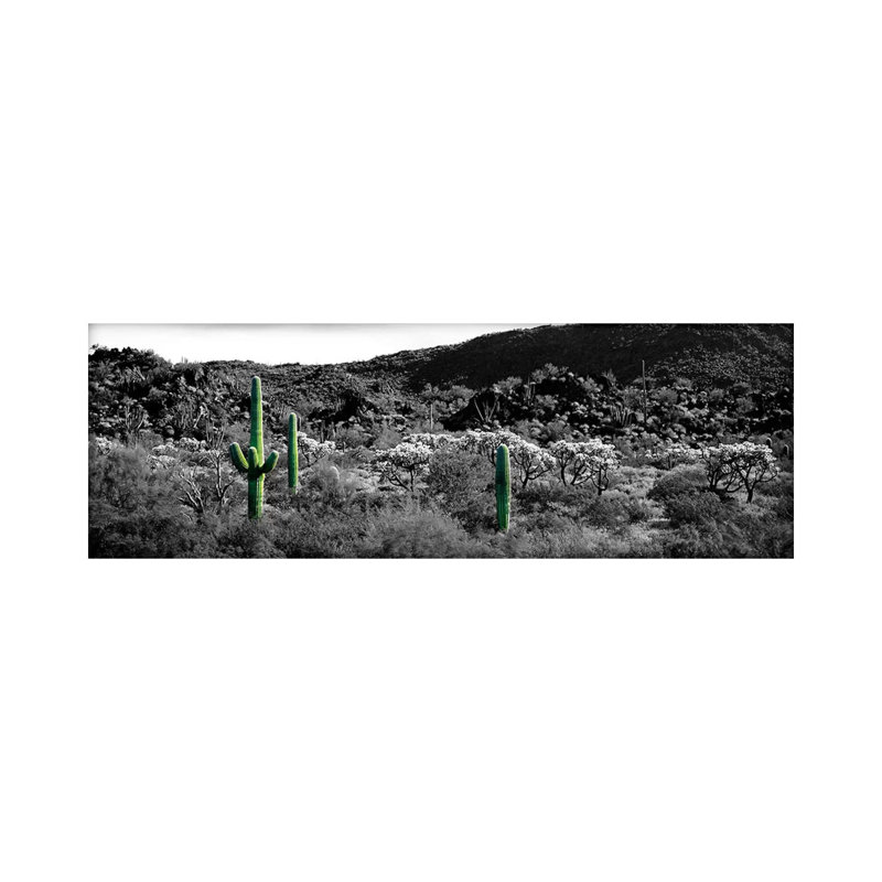 Panoramic Images by Panoramic Images - Wrapped Canvas Panoramic Gallery-Wrapped Canvas Giclée, 30.48 cm H x 91.44 cm W