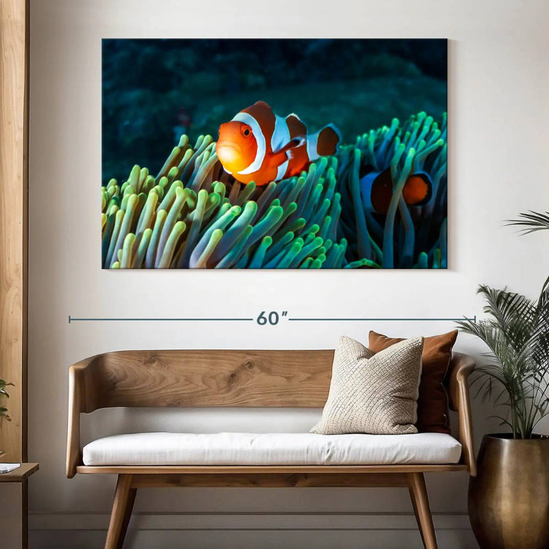 Brampt Frowning Clownfish, 34" H x 51" W