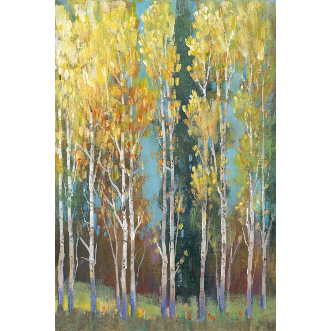 Leinwandbild Aspen Grove I von Timothy O' Toole