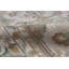 Savonile One-of-a-Kind 12'3" X 18'3" Wool Area Rug in