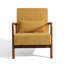 Fauteuil d'appoint Jyrin Mid Century-1662300187-1662300186