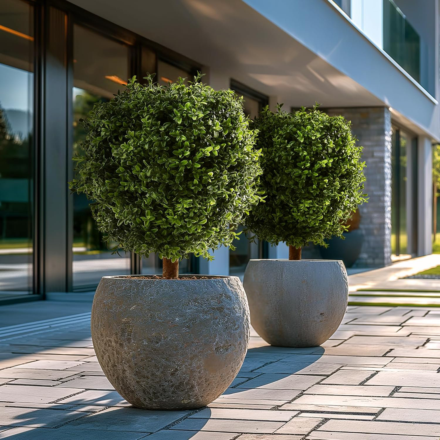 Wildon Home® Set Of 2 Topiary Boxwood Trees , Pre-Potted Faux Trees , Plant Decor For Front Porch Home Office | Wayfair