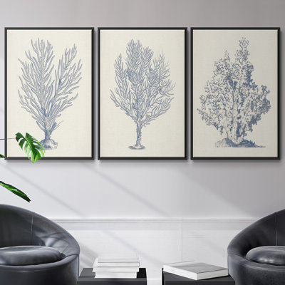 " Antique Coastal Coral X " 3 - Pieces